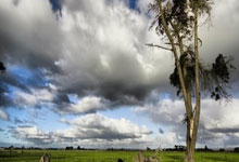 包含达拉斯独行侠迎NBA总决赛关键赛；加时末段遗憾出局；赛场秩序良好；身体对抗强度拉满的词条-爱游戏ayx官方